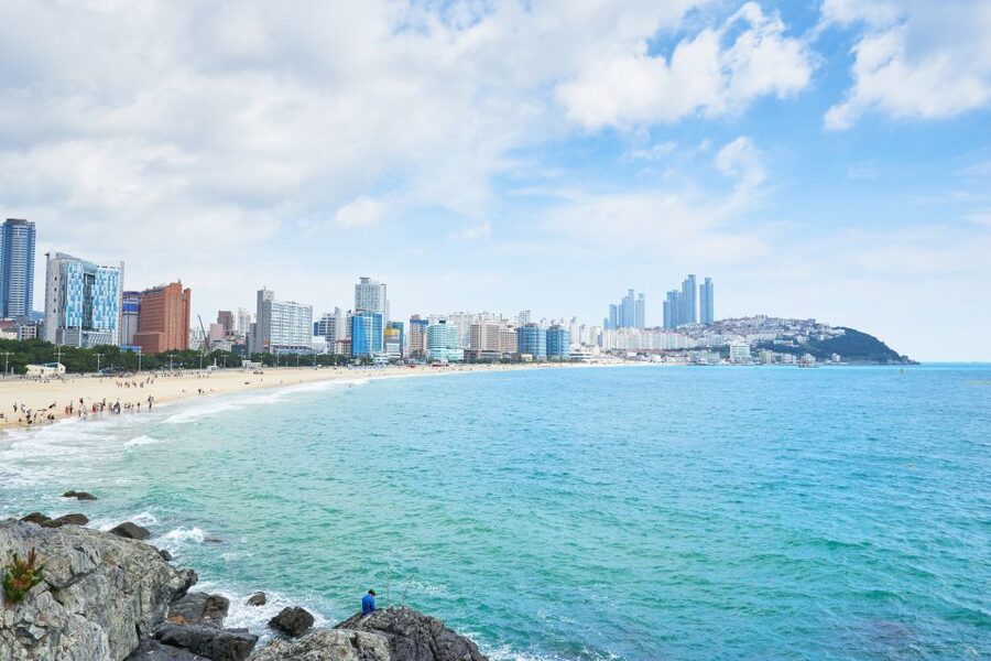 Haedong Yonggungsa Temple, Camellias Island & More - Dalmaji Road: Cherry Blossoms and Sea Views Without the Chaos