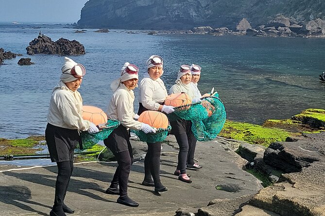 Half or Day Tour For Cruise customers arriving at Gangjeong Port - Seongsan Ilchulbong: UNESCO views and the 2:00 PM haenyeo moment