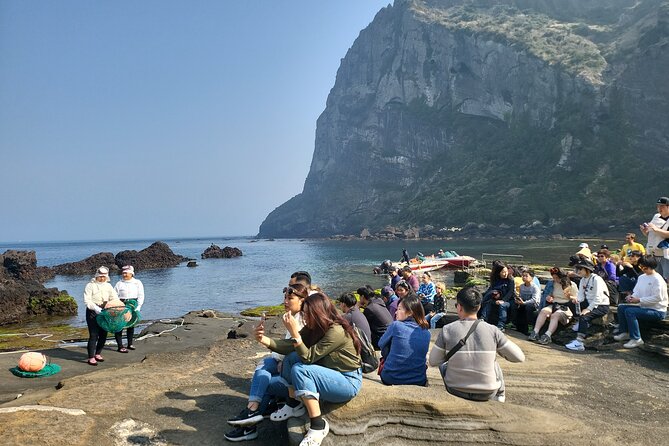 Half or Day Tour For Cruise customers arriving at Gangjeong Port - Jeju Stone Park and Seopjikoji for texture and contrast