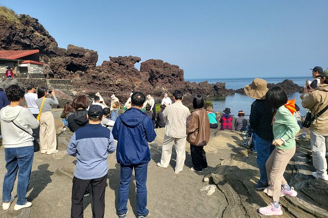 Half or Day Tour For Cruise customers arriving at Gangjeong Port - How the $135 price stacks up for cruise shore time