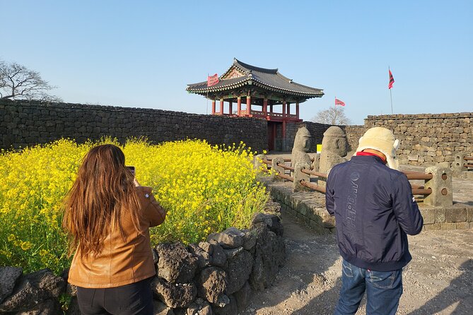 Half or Day Tour For Cruise customers arriving at Gangjeong Port - Getting from the ship to Jeongbang Waterfall without wasting a minute