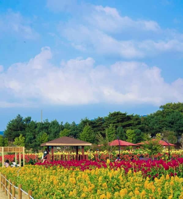 Hantan Canyon & Goseokjeong Flower Garden & Pink Muhly Park - Price and what feels like value
