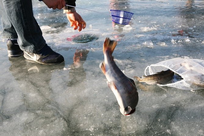 Ice Fishing Tour - Hwacheon Sancheoneo Ice Festival Day Trip from Seoul - Transportation and timing: the hidden value in a day trip
