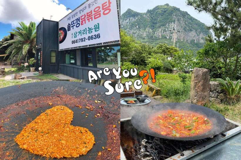 Jeju: BTS Are You Sure?! Filming Locations Private Taxi Tour - Key highlights worth planning around