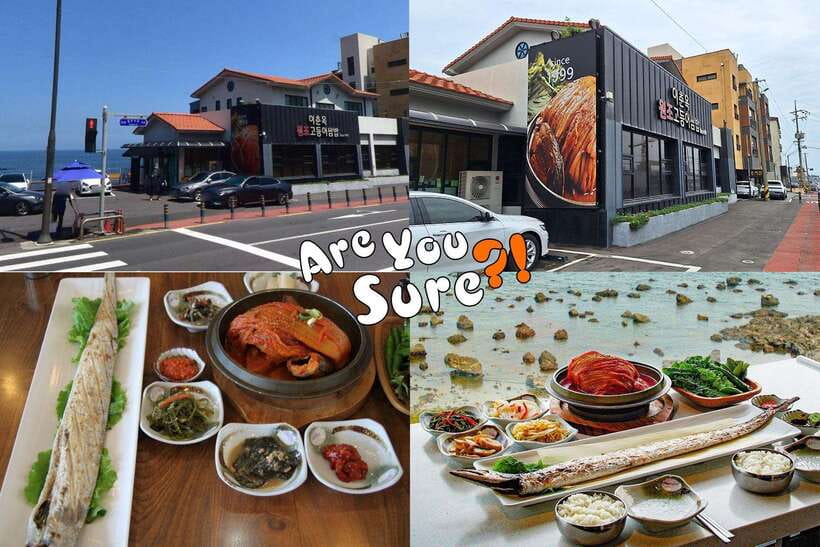 Jeju: BTS Are You Sure?! Filming Locations Private Taxi Tour - Jeju BTS spots, done with real taxi convenience
