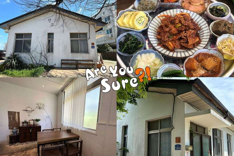 Jeju: BTS Are You Sure?! Filming Locations Private Taxi Tour - What each stop is really for: photos, pacing, and vibe