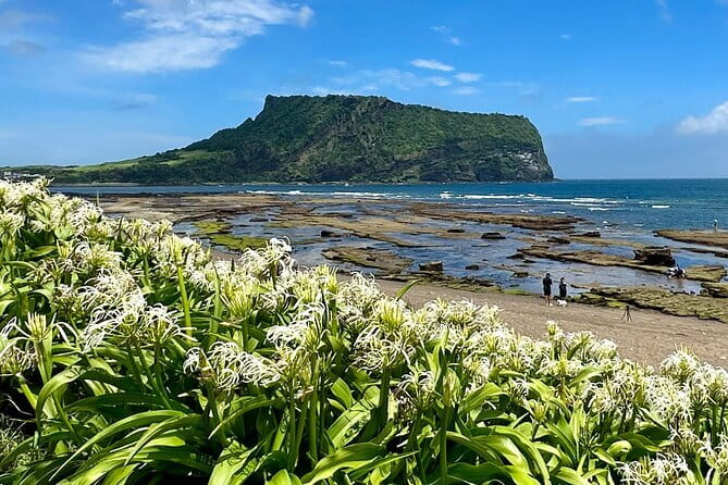 Jeju BTS & K-drama Fans Small Group Tour incl. Snoopy Garden - Seongsan Ilchulbong Hike: UNESCO Views, 1.2 km, and Good Footwear