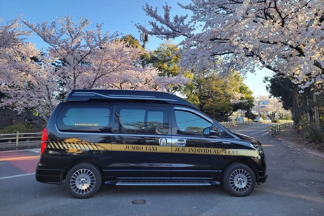 Jeju BTS & K-drama Fans Small Group Tour incl. Snoopy Garden - Umutgae Coast and the Haenyeo Show: Jeju Culture You Can Feel