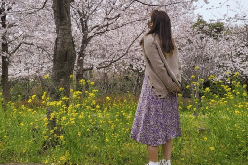 Jeju: Cherry Blossom South & West Day Tour with Hotel Pickup - O’sulloc Green Tea Museum: your tea break within a packed day