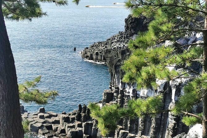 Jeju Cruise Ship gangjung Port PRIVATE tour for all group sizes - Gangjeong Port pickup and why this matters for cruise days