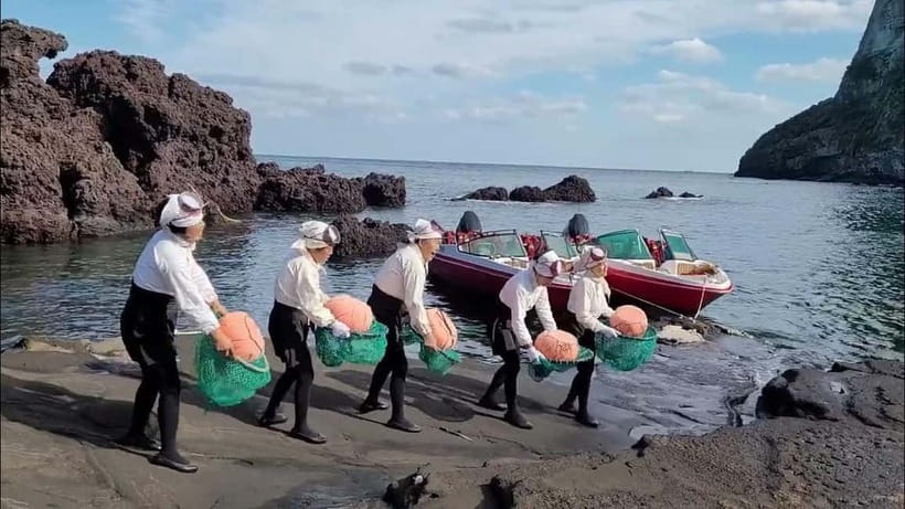 Jeju: Customized Private Vehicle Day Tour - Key Points at a Glance