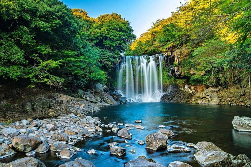 Jeju: Customized Private Vehicle Day Tour - What the Guide-Driver Does With Your Day (Not Just the Driving)