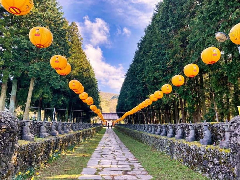 Jeju: Customized Shore Excursions For Up To 7 People - Should you book this tour for your Jeju shore day?