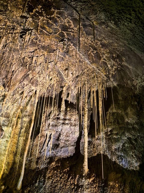Jeju: Customized Shore Excursions For Up To 7 People - Your guide makes the difference, from Jessica to Eric
