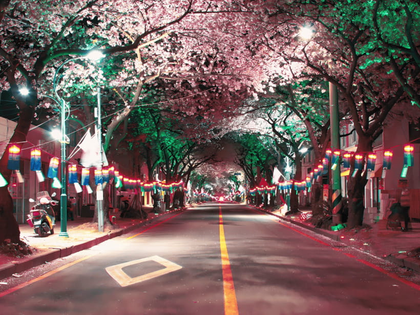 Jeju East: Cherry Blossom Early Bird Tour with Hotel Pickup - Micheongul Cave: lava tube cool air and stalagmite views