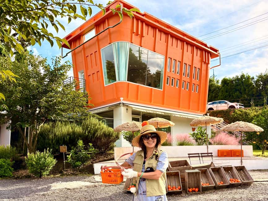 Jeju: East Healing UNESCO Small Group Tour & WomanDiversShow - Key Highlights You Should Know Before You Go