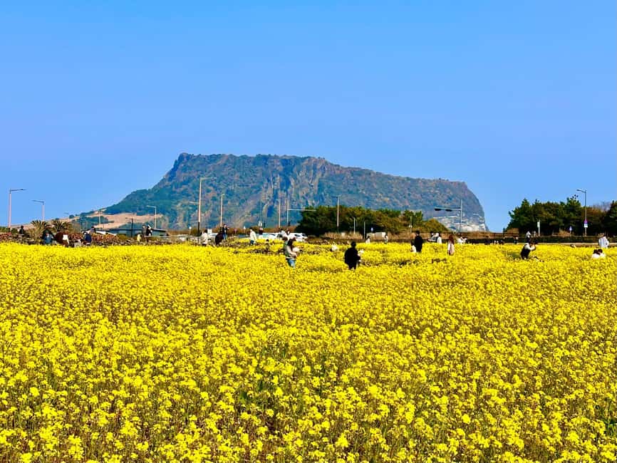 Jeju: East Healing UNESCO Small Group Tour & WomanDiversShow - Hamdeok Beach and Del Mundo: Sea Views Plus a Quick Coffee Moment