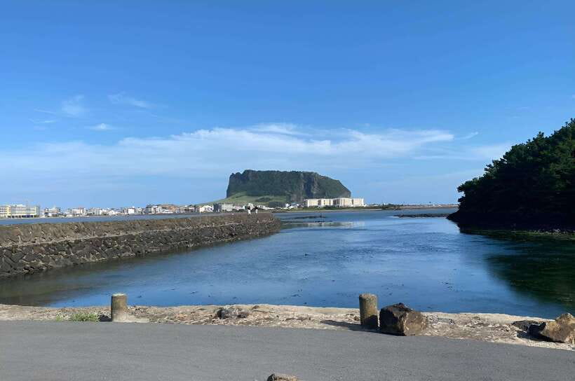Jeju East: K-Drama Filming Spots Tour with Hotel Pickup - Lunch at a local restaurant: plan for your own meal