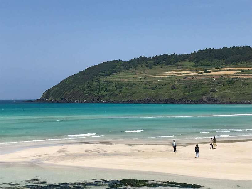 Jeju: East of Jeju Island Bus Tour from Seogwipo City - Haenyeo moments: catching the work at sea and understanding it on land