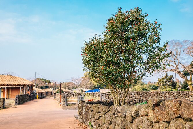 Jeju Eastern Must visit Unesco Bus Tour - Seongeup Folk Village: Traditional Homes, Jeju Dialect, and Winter-Season Events