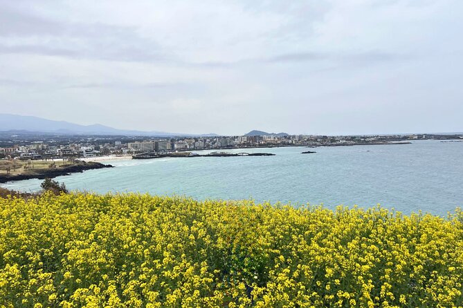Jeju Eastern Must visit Unesco Bus Tour - Comfort, Timing, and What to Bring for a 9-Hour Day