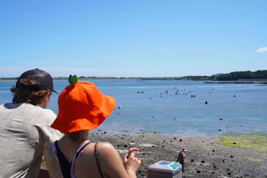 Jeju: Eastern UNESCO Join in Tour (Seongsan, Haenyeo) - Pickup Timing That Gets You Into Jeju East Before the Day Slogs