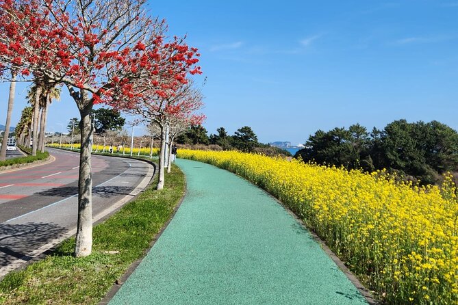 Jeju English Private Taxi Tour(1day, 2days, 3days & 1 to 12pax) - Private Taxi, Your Route, Not a Bus Schedule