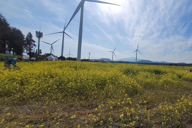 Jeju English Private Taxi Tour(1day, 2days, 3days & 1 to 12pax) - Nature and Heritage Stops You Can Mix and Match