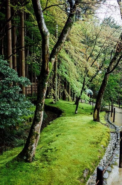 Jeju Highlights Day Trip (East Course) - Haenyeo Museum: Understanding the Haenyeo Beyond the Stereotype