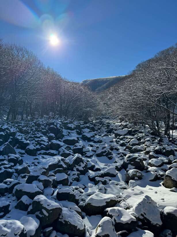 Jeju: Hiking Mt. Hallasan, South Korea's Highest Mountain - Why this Hallasan route is a smart first climb