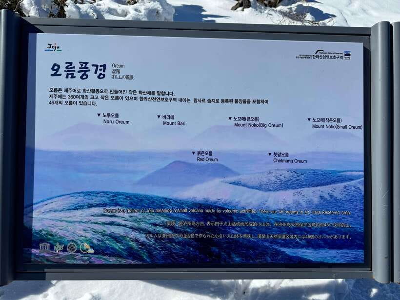 Jeju: Hiking Mt. Hallasan, South Korea's Highest Mountain - Lunch and break at Witse Oreum: fuel without rushing