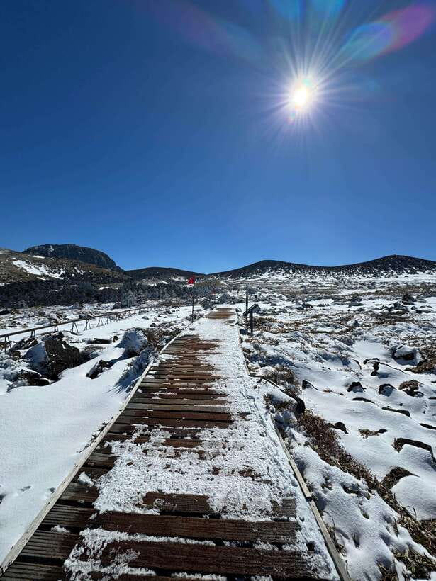 Jeju: Hiking Mt. Hallasan, South Korea's Highest Mountain - Halla Yeongsil Service Area and the Yeongsil Course sights