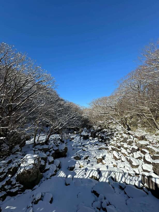 Jeju: Hiking Mt. Hallasan, South Korea's Highest Mountain - What makes it feel worth the money: value at about $103 per person