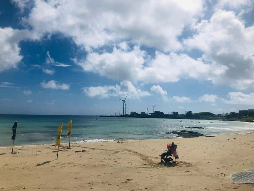 Jeju Island: Customized Private Full-Day Van Tour - Why a private van day works so well on Jeju