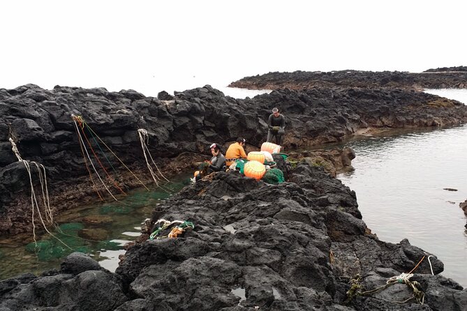 Jeju island Eastern UNESCO site Full Day Guided Tour - Ilchulland and Micheon Cave Energy