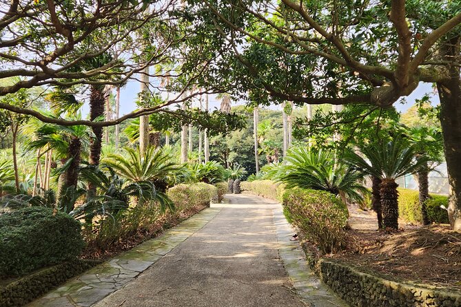 Jeju island Eastern UNESCO site Full Day Guided Tour - The Guide Makes the Difference on a Long Day