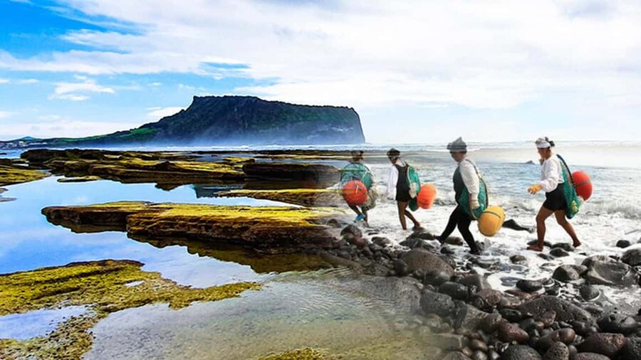 Jeju Island: Full-Day East Jeju Bus Tour with Entry Fees - Price and value: what $43 really buys you
