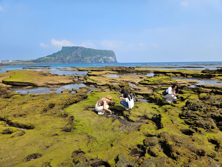 Jeju Island: Full-Day East Jeju Bus Tour with Entry Fees - Seongsan Ilchulbong hike: the UNESCO crater climb you can actually feel