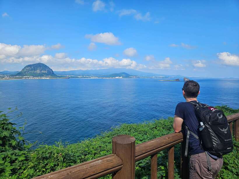Jeju Island: Full-Day SouthWest Bus Tour with Entry Fees - Jusangjeolli Cliff Basalt Columns: When Waves Hit Volcanic Math