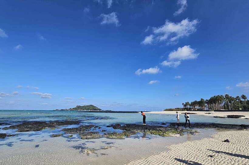 Jeju Island: Full-Day SouthWest Bus Tour with Entry Fees - Guides, Group Size, and Getting Around Without Headaches
