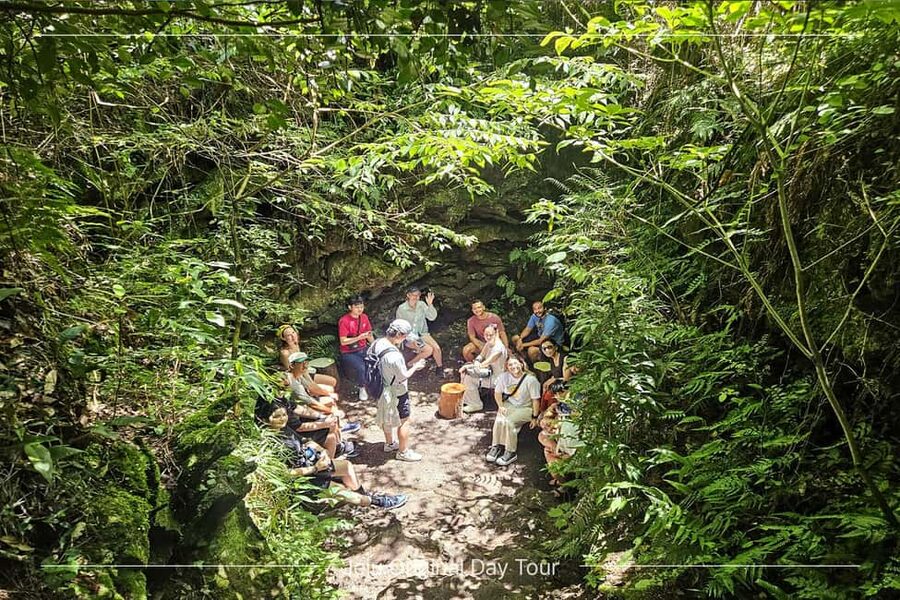Jeju Island: Full-Day SouthWest Bus Tour with Entry Fees - Price and Value: Why $43 Can Work on a One-Day Hit
