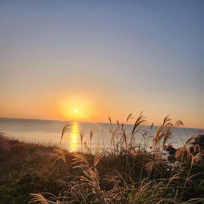 JEJU ISLAND : Higlights SUNRISE guided Tour - Jjimjilbang reset after sunrise, and how to plan your afternoon