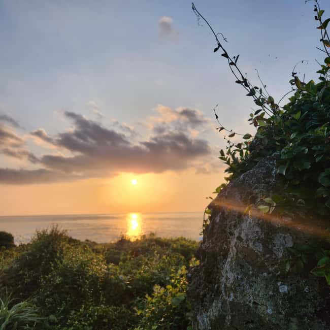 JEJU ISLAND : Higlights SUNRISE guided Tour - Price and included costs: what $78 buys you