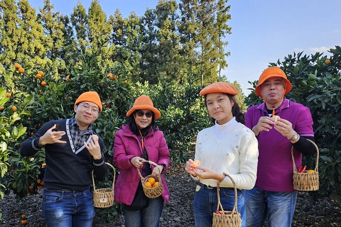 Jeju island Jumbo taxi Private Tour with Mr.Hong west of jeju - The big loop: Hyeopjae, Osulloc, Yongmeori, Suwolbong Peak, Hallim Park