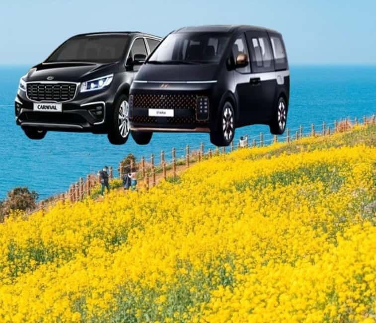 Jeju Island: Private Car Charter Tour - Price and value for up to 6 people