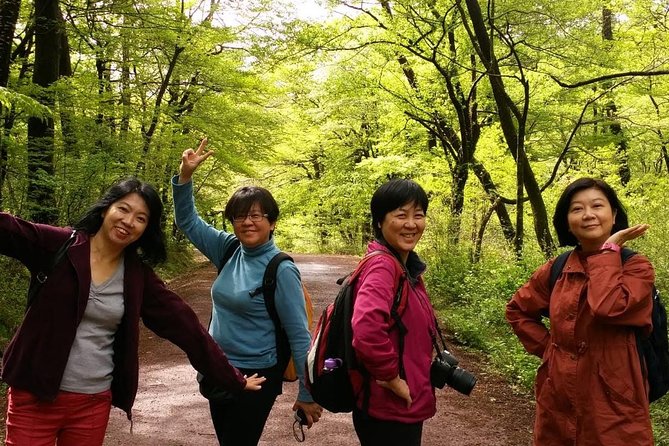 Jeju Island Private Half day Transport : South / West - Oedolgae and Jusangjeolli Cliff: the Seogwipo coast’s rock signatures