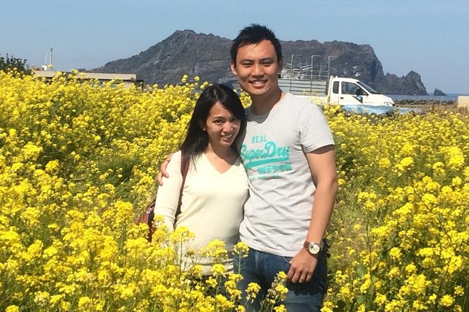 Jeju Island Private Taxi Tour : 2 Full days - Why a private Jeju taxi tour feels easier than renting a car
