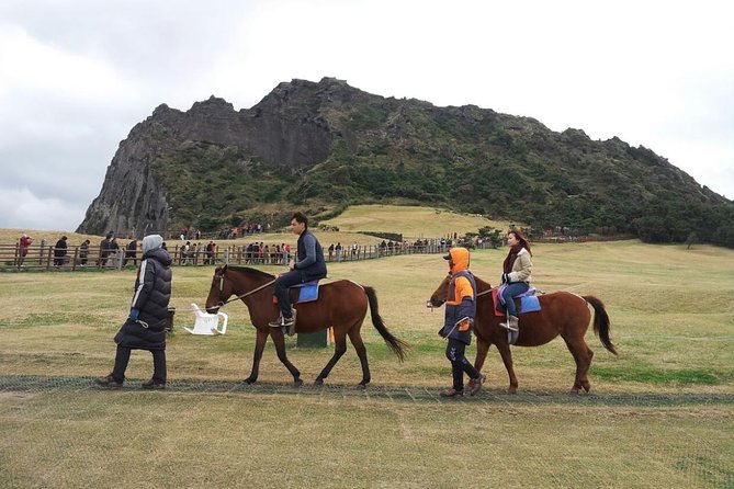Jeju Island Private Taxi Tour : 2 Full days - Stop-by-stop timing, tickets, and how to avoid wasting energy
