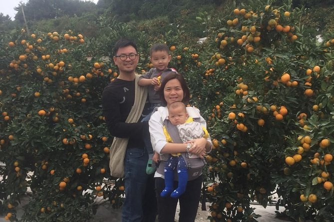 Jeju Island Private Taxi Tour : 2 Full days - Seasonal swaps and closure backups that keep your plans alive