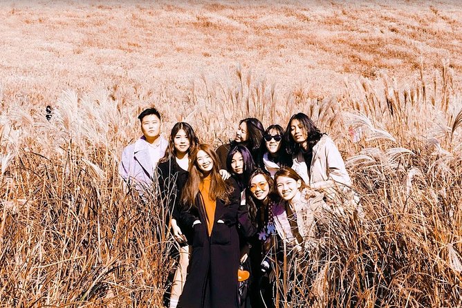 Jeju Island Private Taxi Tour : 3 Full days - Why this private taxi plan beats public transport on Jeju